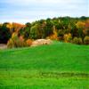 Noah Jigsaw Puzzle Autumn Foliage in Rural Wisconsin 1000 Pieces view 2