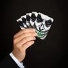 Brian Bula Skull Playing Cards Art Halloween Scary Horror Poker Cards view 4