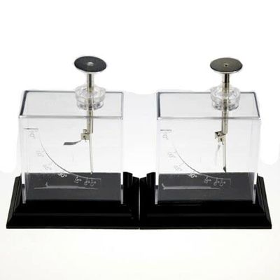 1Set (2Pcs) Platinum Foil Electroscope Set for Physics Electricity Experiment