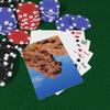 Brian Bula Poodle Rock Valley of Fire Playing Cards National Park Poker Cards of Poodle Rock in Valley of Fire view 3