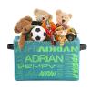 ZAACUSTOM Personalized Storage Bins with Name Custom Kids Storage Basket Cubes Organizer with Handles for Organizing Boys and Girls Toys Shelf Closet Nursery Baskets Boxes, 1 Pack view 3