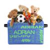 ZAACUSTOM Personalized Storage Bins with Name Custom Kids Storage Basket Cubes Organizer with Handles for Organizing Boys and Girls Toys Shelf Closet Nursery Baskets Boxes, 1 Pack view 3