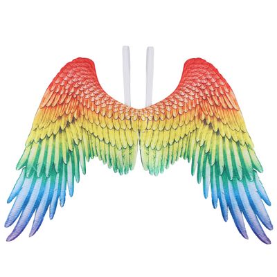 Abaodam Angel Wings Rainbow Wings Fairy Outfit with Elastic Straps for Kids Women Men Halloween Carnival Cosplay Costume Party Performance Fancy Dress