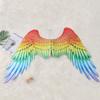 Abaodam Angel Wings Rainbow Wings Fairy Outfit with Elastic Straps for Kids Women Men Halloween Carnival Cosplay Costume Party Performance Fancy Dress view 4