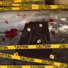 TICIAGA 29pcs Crime Scene Decors Kits, Body Silhouette Crime Scene Tape Evidence Markers and Bloody Sticker and Photo-Booth Props with Height Chart Backdrop Poster, Home for Crime Scene Party Decors view 2