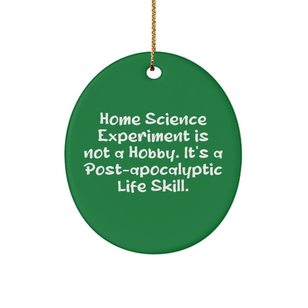 Home Science Experiment is not a Hobby. It's a Post. Oval Ornament, Home Science Experiments Present from, Love for Friends, Gifts for science lovers, Science experiment kits, Fun science