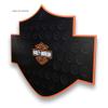 Harley-Davidson Bar & Shield Poker Chip Collector's Magnetic Frame 48 Count view 2
