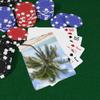 Brian Bula Tropical Palm Tree and Ocean Playing Cards view 3