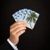 Brian Bula Tropical Palm Tree and Ocean Playing Cards view 4
