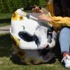 Baby Nursing Cover Carseat Canopy Farm Cow Idyllic Sunflower Breathable Privacy Breastfeeding Scarf Country Blossoms Floral and Animals Multi Use Car Seat Covers for Boys or Girls view 4