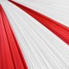 Moukeren 40'' x 100' Circus Tablecloth Roll Plastic Tablecloth Disposable DIY Carnival Tent Party Supplies for Big Top Tent Backdrop Curtains Ceiling Wall Drapes(White, Red,2 Roll) view 3