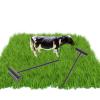 LUOZZY 12 Pcs Zen Mini Rakes Sandbox Rakes Table Small Rakes Garden Miniature Rakes (Black) view 4