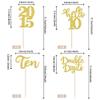 24 PCS Glitter 10th Birthday Cupcake Toppers Hello 10 Ten Cupcake Picks Double Digits Since 2015 Cupcake Topper for Happy 10th Birthday Anniversary Party Cake Decorations Supplies Gold view 2