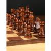 15in Wooden Unique Chess Set for Adults, Chess Board Game Set 3in King Height Chess Pieces / 2 Extra Free Queen/Travel Chess Sets and Boards Game for Kids Mens Gifts view 3
