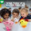 TOY Life Easter Eggs 12 Packs Filled with Wind Up Chicks and Plush Bunnies, Plastic Easter Eggs Toys Inside, Easter Filler with Wind Up Toys, Eggs for Egg Hunts, Easter Basket Stuffers for Kid Toddler view 3