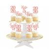 24 PCS 5th Birthday Cupcake Toppers Glitter Hello 5 Five Cupcake Picks Sweet 5 Since 2020 Cupcake Topper for Happy 5th Birthday Anniversary Party Cake Decorations Supplies Rose Gold view 4