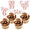 24 PCS 6th Birthday Cupcake Toppers Glitter Hello 6 Six Cupcake Picks Sweet 6 Since 2019 Cupcake Topper for Happy 6th Birthday Anniversary Party Cake Decorations Supplies Rose Gold view 1