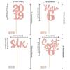 24 PCS 6th Birthday Cupcake Toppers Glitter Hello 6 Six Cupcake Picks Sweet 6 Since 2019 Cupcake Topper for Happy 6th Birthday Anniversary Party Cake Decorations Supplies Rose Gold view 2
