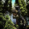 Ark Survival Evolved Playstation 4 PS4 PS5 Dinosaurs Hunting - Free Shipping! view 4