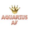 Aquarius AF, Aquarius AF Balloons, Big Aquarius Energy, 18th | 21th | 25th | 30th Birthday Decorations, Aquarius Birthday Decorations (Red) view 4