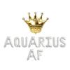 Aquarius AF, Aquarius AF Balloons, Big Aquarius Energy, 18th | 21th | 25th | 30th Birthday Decorations, Aquarius Birthday Decorations (Silver) view 1