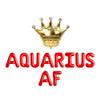 Aquarius AF, Aquarius AF Balloons, Big Aquarius Energy, 18th | 21th | 25th | 30th Birthday Decorations, Aquarius Birthday Decorations (Silver) view 4