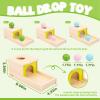 Adena Montessori Object Permanence Box with Tray Three Balls Montessori Toys for 6-12 Months Baby 1 Year Old Infant Toddler Typical view 3