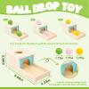 Adena Montessori Wooden Toy for 6-12 Month Baby 3 Balls with Tray, Object Permanence Box Colorful Learning Education Toy for Toddler Kid 1-2 Year Old, Preschool Developmental Girl and Boy Gift view 3