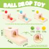 Adena Montessori Object Permanence Box with Tray Three Balls Montessori Toys for 6-12 Months Baby 1 Year Old Infant Toddler Wooden Pink Door for Girl view 3