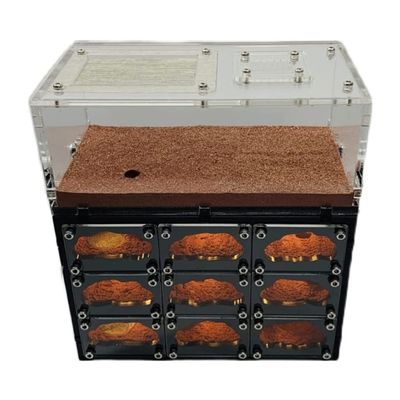 EYPKPL Classic Ant Farm Concrete Ant Nest with USB Charging Cable Educational Tools Gift