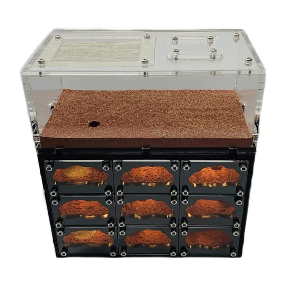 EYPKPL Classic Ant Farm Concrete Ant Nest with USB Charging Cable Educational Tools Gift
