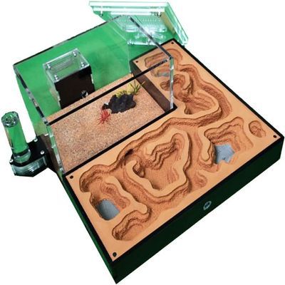 Large Ant Farm Learn Ant Behavior Ecological Plaster Ant Castle Acrylic Maze Ant Nest Farm Great Office Decor