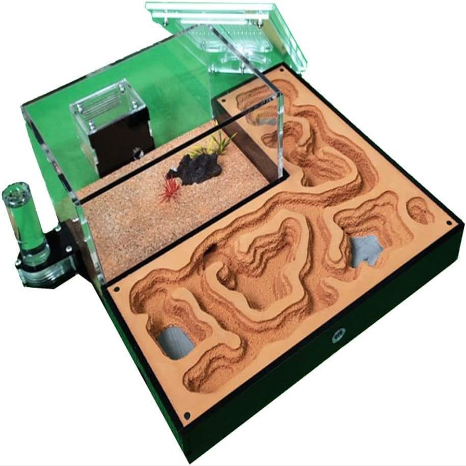 Large Ant Farm Learn Ant Behavior Ecological Plaster Ant Castle Acrylic Maze Ant Nest Farm Great Office Decor