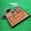 Large Ant Farm Learn Ant Behavior Ecological Plaster Ant Castle Acrylic Maze Ant Nest Farm Great Office Decor view 2