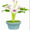 Dolls House Morning Glory Artificial Flower in Blue Plant Pot Ornament Accessory view 1