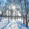 Noah Jigsaw Puzzle Winter Snow in Havana Illinois 1000 Pieces view 2