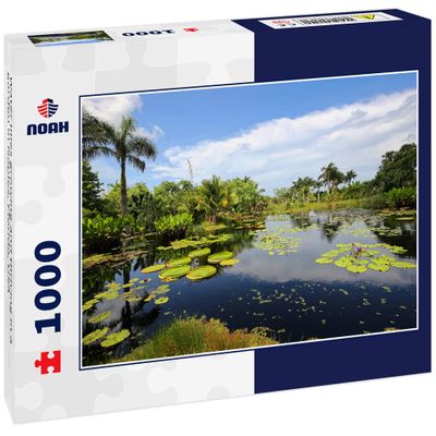 Noah Jigsaw Puzzle Water Lilies Growing and Thriving in a Garden in Naples, Florida, USA 1000 Pieces