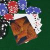 Brian Bula Grand Canyon Playing Cards National Park Cards Grand Canyon Poker Cards view 3