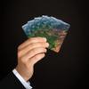 Brian Bula Waimea Canyon Playing Cards National Park Cards Waimea Canyon Hawaii Poker Cards view 4