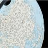 Globe The Latest World Globe Chinese-English Comparison with Bracket Blue Led Light 2-in-1 Globe for Office Decoration Globe Globe for Decor view 3