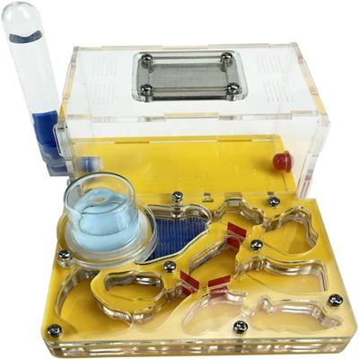 HRTC DIY Ant Castle Acrylic Ant Nest Farm Double Water Tower with Feeding Area Ant Farm Makes a Gift for Ant Lovers