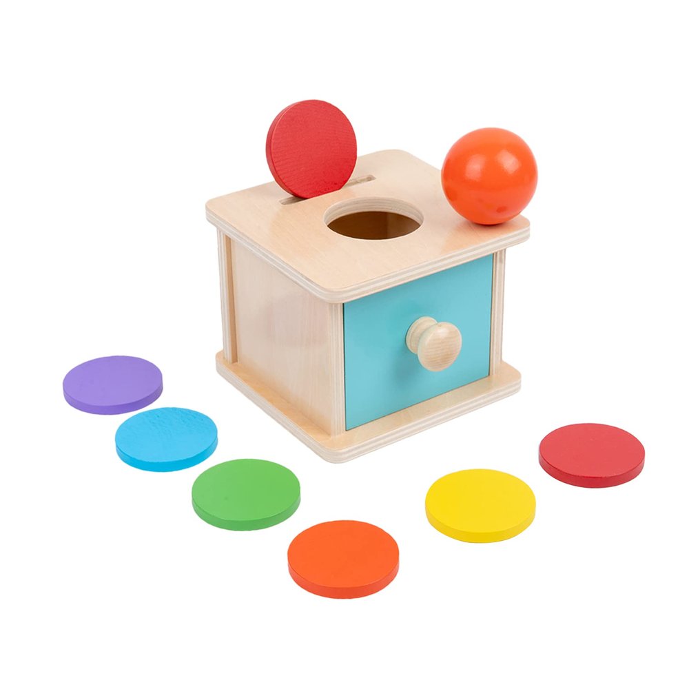 Adena Montessori Infant Toddlers Coin Box Montessori Toys for 6-12 Months Babies 1 Year 2 Year Old (2 in 1,Coin&Ball, Blue Door)