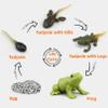MIKNEKE Montessori Frog Life Cycle with Flash Cards, Plastic Insects Tadpole to Frog Kit Toy, Realistic Animal Figurines view 2