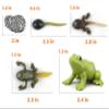 MIKNEKE Montessori Frog Life Cycle with Flash Cards, Plastic Insects Tadpole to Frog Kit Toy, Realistic Animal Figurines view 3