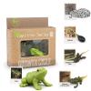 MIKNEKE Montessori Frog Life Cycle with Flash Cards, Plastic Insects Tadpole to Frog Kit Toy, Realistic Animal Figurines view 4
