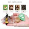 MIKNEKE Montessori Bee Life Cycle with Flash Cards, Realistic Animal Figurines Toy, Animal Educational Matching Game for 3+ Year Old Toddlers Kids (Bee) view 2