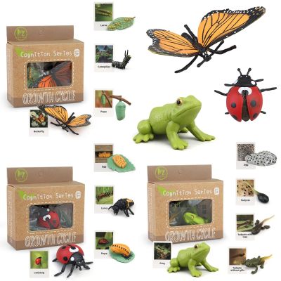 MIKNEKE Montessori Life Cycle Learning & Education Toys, Plastic Insect Ladybug Monarch Butterfly Tadpole to Frog Kit Life Cycle Toys for Kids, Preschool Learning Activities for Toddlers
