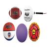 Biggz Bag of Sport Balls Basketball, Soccer Ball, Football, Volleyball, Purple Playground Ball, and Pump view 3