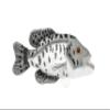 Black Crappie, Realistic, Lifelike, Very Nice Plush Fish 7" F4602 BB60 view 1