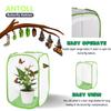 Antoll 2Pcs 24" M Size Green Butterfly Habitat - Monarch & Flying Insect Mesh Cage, Pop-Up: 16"x16"x24" view 3